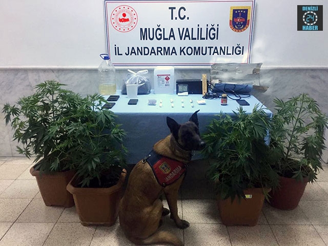 Muğla’da narkotik köpeği ile birlikte uyuşturucu operasyponu