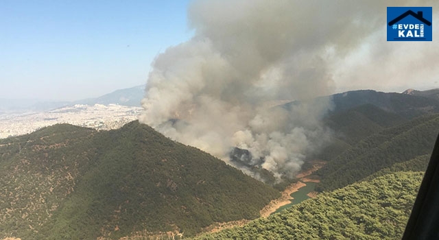 İzmir Balçova’da orman yangını