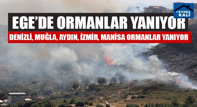 Ege Yanıyor Denizli, Muğla, Aydın, İzmir, Manisa Ormanlar Yanıyor