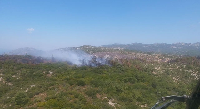 İzmir Menderes’te orman yangını