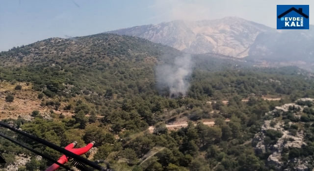Muğla Fethiye'de orman yangını