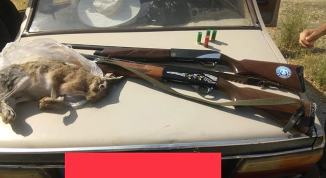 Aydın Nazilli’de yaban tavşanı avlayan 2  kişiye para cezası