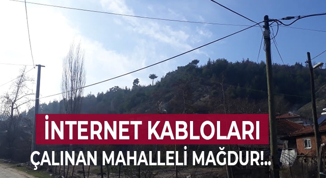 Denizli’de çalınan kablolar bir mahalleyi internetsiz bıraktı