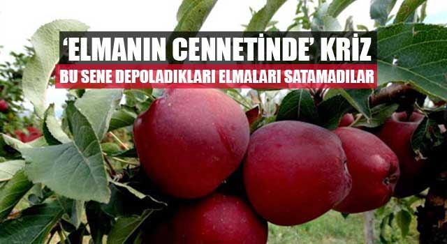 ‘Elmanın Cennetinde’ Kriz bu sene depoladıkları elmaları satamadılar