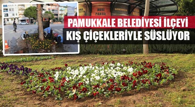 Pamukkale Belediyesi İlçeyi Kış Çiçekleriyle Süslüyor