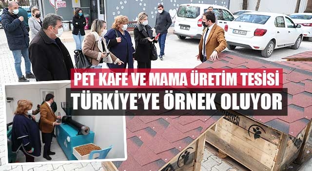 Merkezefendi Belediyesi’nin Pet Kafe Ve Mama Üretim Tesisi Türkiye’ye Örnek Oluyor