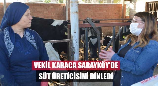 Vekil Karaca Sarayköy'de süt üreticisini dinledi