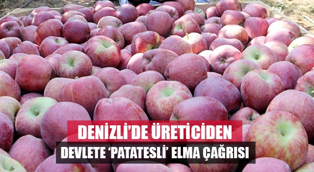Denizli'de elmayı satamayarak çürümeye terk eden üretici devlete çağrıda bulundu