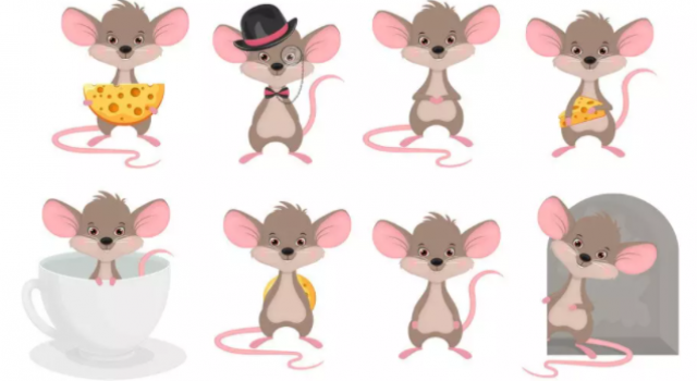 Rüyada fare görmek ne anlama gelir?