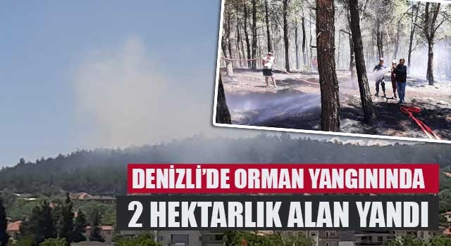 Denizli’de orman yangınında 2 hektarlık alan yandı