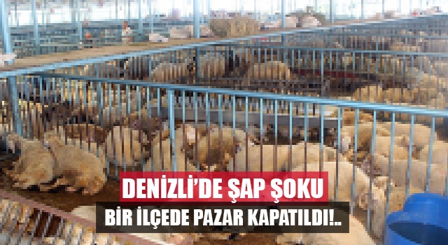 Denizli'de şap hastalığı nedeniyle bir ilçede hayvan pazarı kapatıldı