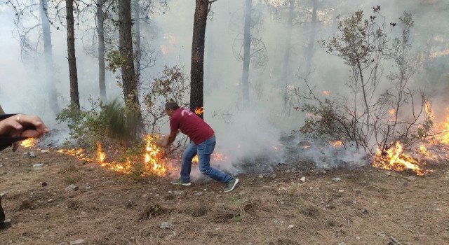 Denizli’de Kent Ormanındaki yangın, kısa sürede söndürüldü