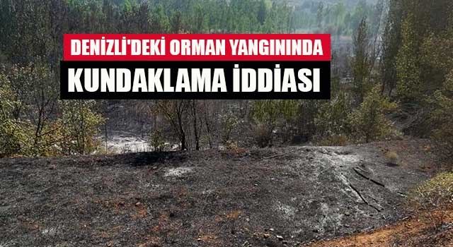 Denizli'deki orman yangınında kundaklama iddiası