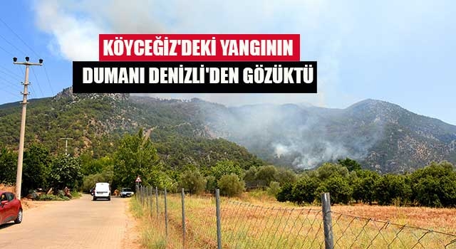 Köyceğiz'deki yangının dumanı Denizli'den gözüktü