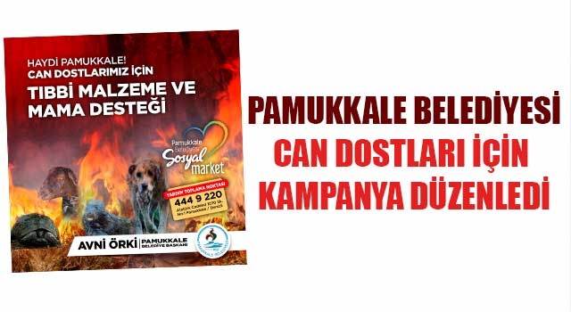 Pamukkale Belediyesi Can Dostları İçin Kampanya Düzenledi