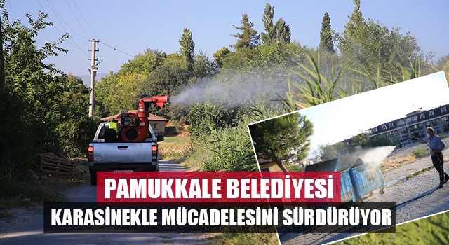 Pamukkale Belediyesi Karasinekle Mücadelesini Sürdürüyor