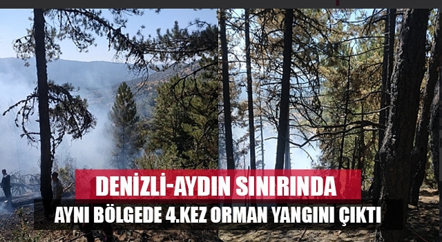Denizli-Aydın sınırında aynı bölgede 4.kez orman yangını çıktı