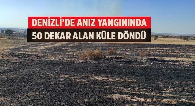 Denizli'de anız yangınında 50 dekar alan küle döndü