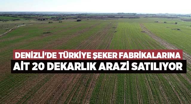 Denizli'de Türkiye Şeker Fabrikalarına ait 20 dekarlık arazi satılıyor