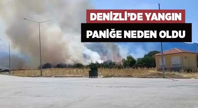 Denizli'de orman yangın paniğe neden oldu