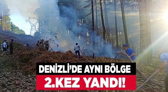 Denizli'de orman yangını söndürüldü