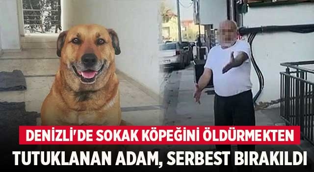 Denizli'de sokak köpeğini öldürmekten tutuklanan adam, serbest bırakıldı