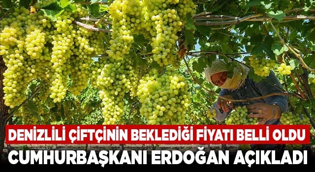 Denizlili çiftçi 28 lira talep etti! Erdoğan fiyatı 27 lira olarak açıkladı