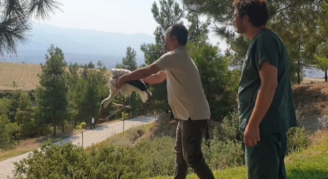 Vatandaşlar tarafından yaralı bulunan leylek tedavisinin ardından özgürlüğe kanat çırptı
