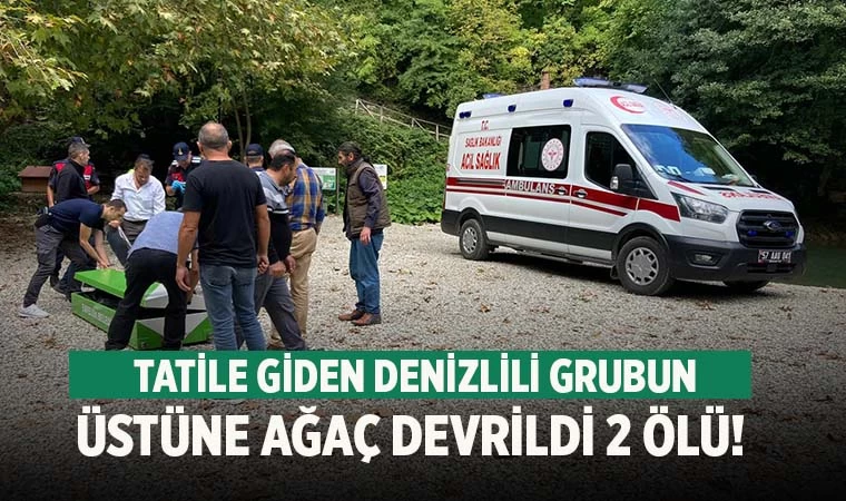 Denizli'den Sinop'a tatile giden grubun üstüne ağaç devrildi 2 ölü