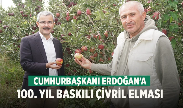 Cumhurbaşkanı Erdoğan'a Çivril elması hediye edildi