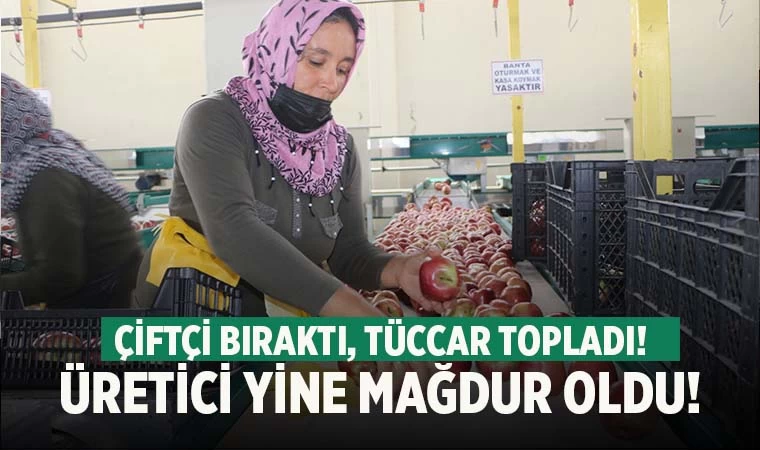 Denizli'de elma üreticisi fiyata yenildi!