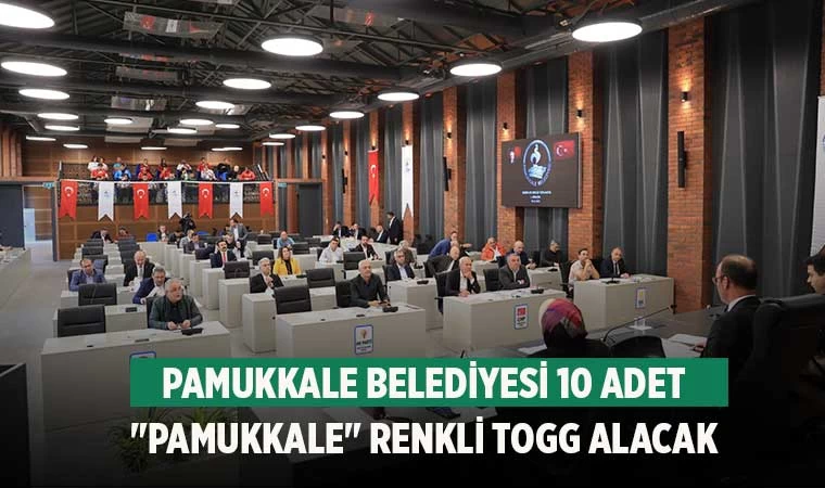Pamukkale Belediyesi 10 Adet "Pamukkale" Renkli TOGG Alacak