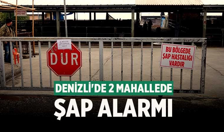 Denizli'de 2 mahallede şap alarmı