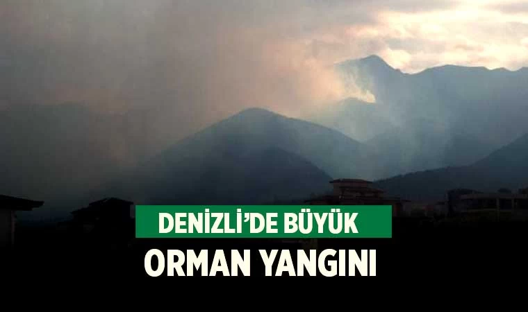 Denizli'de büyük orman yangını