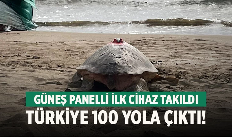Güneş Panelli İlk Cihaz ‘Türkiye 100’ isimli Deniz Kaplumbağasına Takıldı