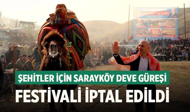 Sarayköy Deve Güreşleri Festivali Şehitler İçin İptal Edildi