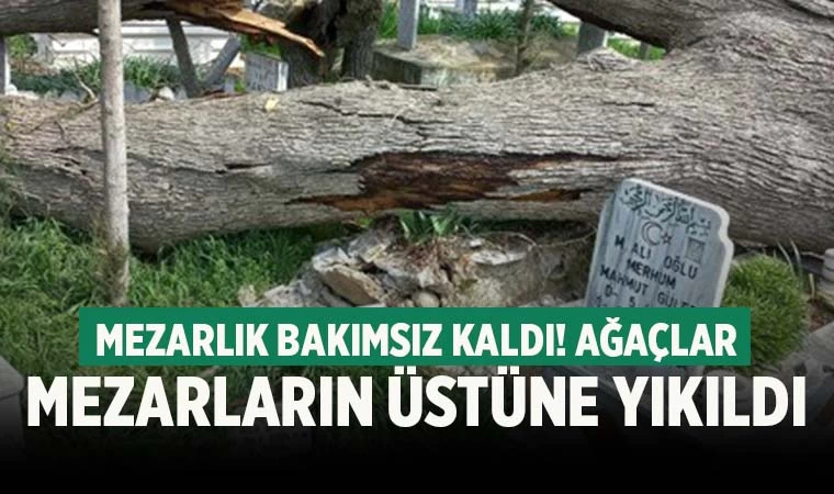 Bakımsızlıktan devrilen ağaçlar mezarlara zarar verdi