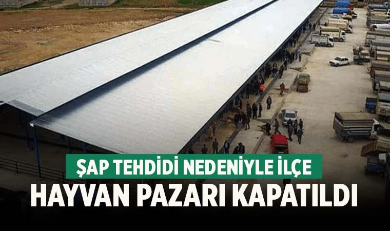Denizli'de hayvan pazarı şap yüzünden kapatıldı