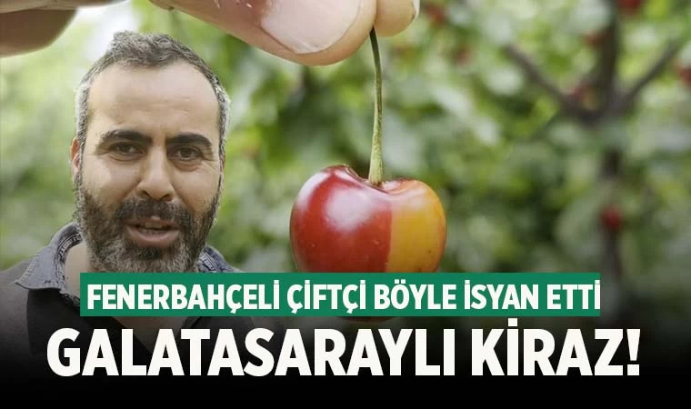 Fenerbahçeli çiftçi: ‘Beslediğim ağaç Galatasaraylı çıktı’