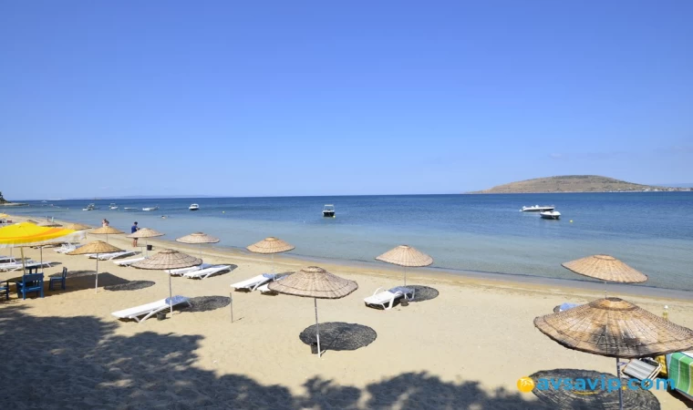 Güney Marmara'nın En Popüler Tatil Beldesi : Avşa Adası