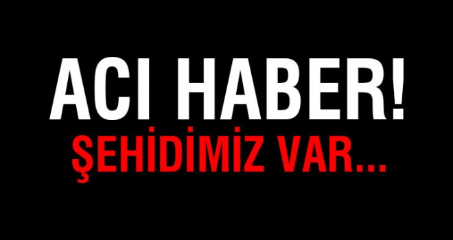 Bitlis'te el yapımı patlayıcı infilak etti: 1 şehit, 1 yaralı