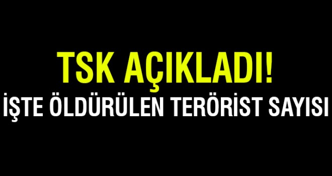TSK: Açıkladı: İşte Öldürülen Terörist Sayısı