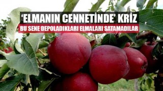 ‘Elmanın Cennetinde’ Kriz bu sene depoladıkları elmaları satamadılar