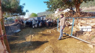 Muğla'ya bağlı Bodrum ilçesi'nde yaşayan Cemil Çoban kaçan keçilerini drone ile buluyor