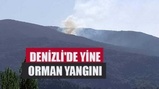 Denizli'de yine orman yangını