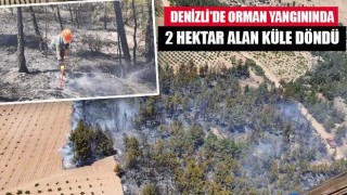Denizli'de orman yangınında 2 hektar alan küle döndü