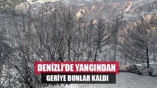 Denizli'de yangın söndürüldü geride kalan manzara yürekleri burktu