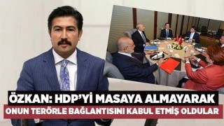 Denizli Milletvekili Cahit Özkan: HDP’yi masaya almayarak onun terörle bağlantısını kabul etmiş oldular
