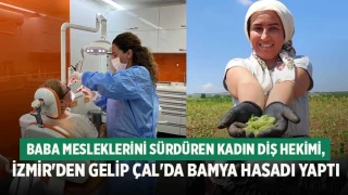 Baba mesleklerini sürdüren kadın diş hekimi, İzmir'den gelip Çal'da bamya hasadı yaptı