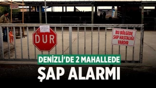 Denizli'de 2 mahallede şap alarmı